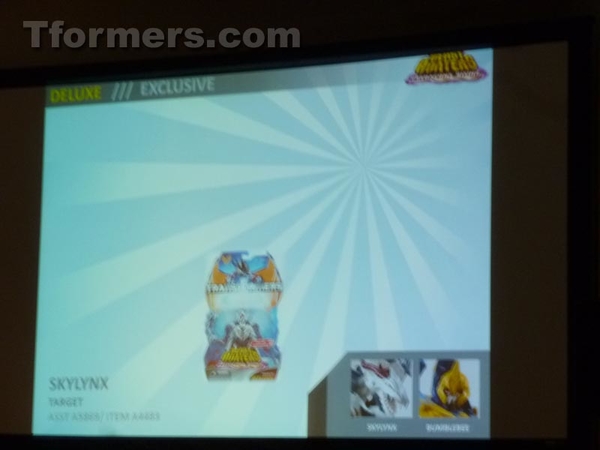 Transformers Products Hasbro Brand Team Panel  (100 of 175)
